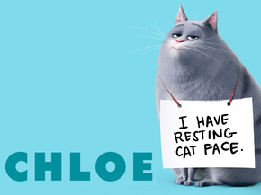 The Secret Life of Pets | Тайная жизнь домашних животных
