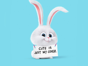 The Secret Life of Pets | Тайная жизнь домашних животных