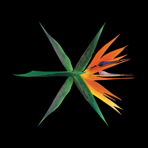 EXO - The War