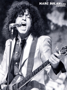 T Rex