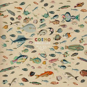 Cosmo Sheldrake - The much much how how and i