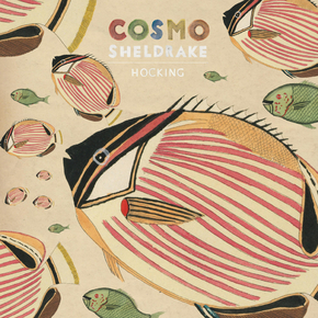Cosmo Sheldrake - Hocking
