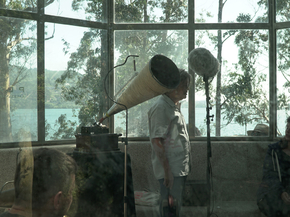 Cosmo Sheldrake