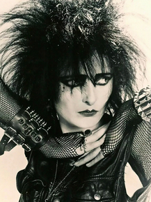 Siouxsie and the Banshees