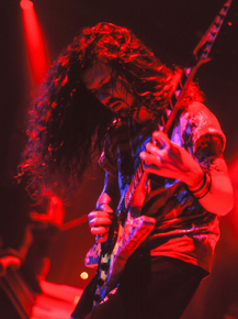 Pantera