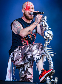 Five Finger Death Punch