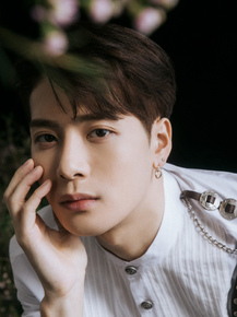 GOT7 - Jackson (Коллекция постеров №1)
