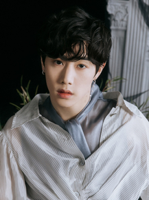 GOT7 - Mark (Коллекция постеров №1)