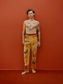 Harry Styles | Гарри Стайлз