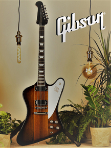 Guitar - Gibson | Гитара