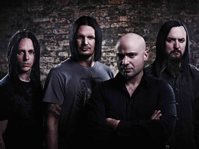 Disturbed