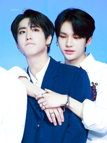 Stray Kids