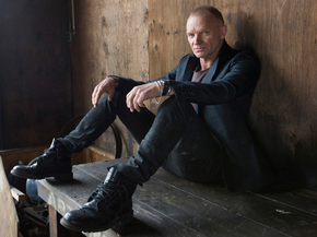 Sting | Стинг
