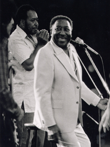 Muddy Waters | Мадди Уотерс