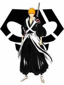 Bleach: Kurosaki Ichigo | Блич: Ичиго Куросаки