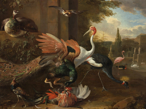 Melchior de Hondecoeter - A Peacock Attacking | Мельхиор де Хондекутер