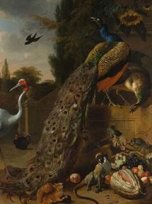 Melchior de Hondecoeter - Peacocks | Мельхиор де Хондекутер