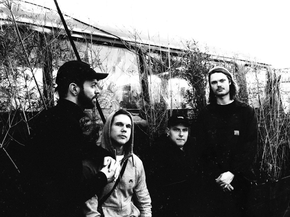 Ulver