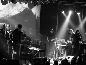 Ulver