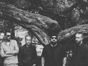 Ulver