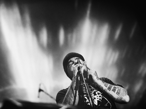 Ulver