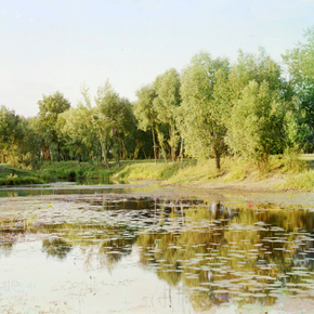 Затишье Курская губерния, близ Путивля