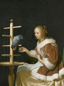 Frans van Mieris - Young Woman Feeding a Parrot | Ван Мирис, Франс