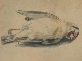 Paul Sandby - A Dead Bird | Пол Сэндби