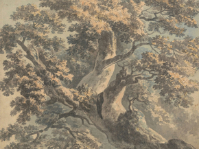 Paul Sandby - Study of a Tree | Пол Сэндби