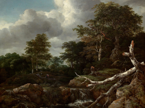 Jacob van Ruysdael - Forest Scene | Якоб ван Рёйсдал