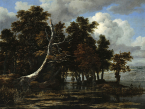 Jacob van Ruysdael - Oaks at a lake with Water Liliesoon | Якоб ван Рёйсдал