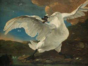 Jan Asselijn - The Threatened Swan | Ян Асселин