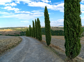 Toscana | Тоскана