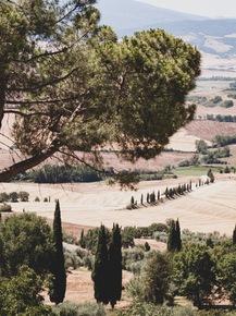 Toscana | Тоскана