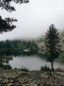 Пейзаж