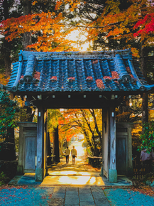 Япония