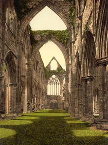 Abbey interior, looking W, Tintern, England