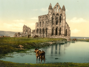 Whitby, the abbey, II, Yorkshire, England