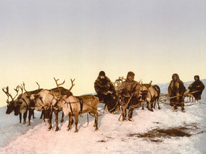 Traveling by reindeer, Archangel, Russia