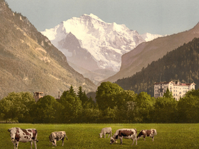 Jungfrau and Jungfraublick Hotel, Bernese Hotel, Switzerland