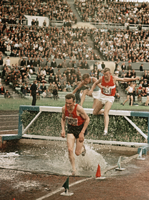 Спортсмены