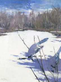 Abbott Handerson Thayer - Blue Jays in Winter | Эббот Хэндерсон Тейер