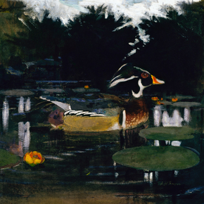 Abbott Handerson Thayer - Male Wood Duck in a Forest Pool | Эббот Хэндерсон Тейер