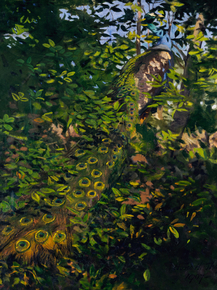 Abbott Handerson Thayer - Peacock in the Woods | Эббот Хэндерсон Тейер