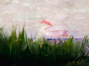 Abbott Handerson Thayer - Roseate Spoonbill | Эббот Хэндерсон Тейер