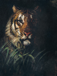 Abbott Handerson Thayer - Tiger's Head