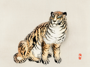 Байрэй, Коно - Tiger