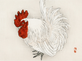 Байрэй, Коно - Japanese Bantam