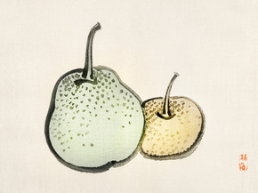 Байрэй, Коно - Asian pears
