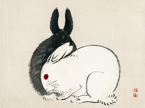 Байрэй, Коно - Black and white rabbits